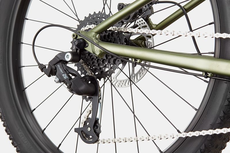 Kids Trail Plus 24 | 7 to 13 Bikes | Cannondale