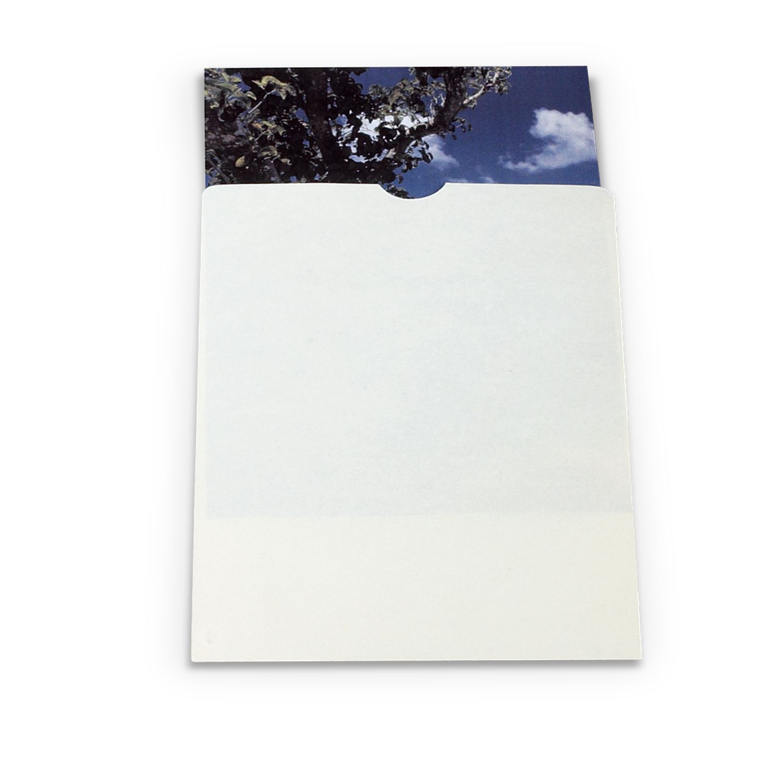 Gaylord Archival® 80 lb. Text Buffered Negative & Print Envelopes with