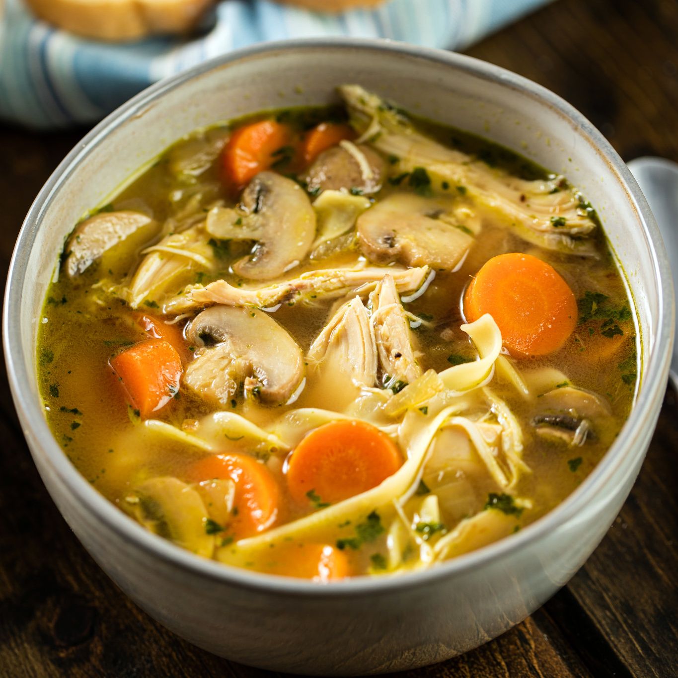 Hearty Chicken Noodle Soup | Gourmet Garden