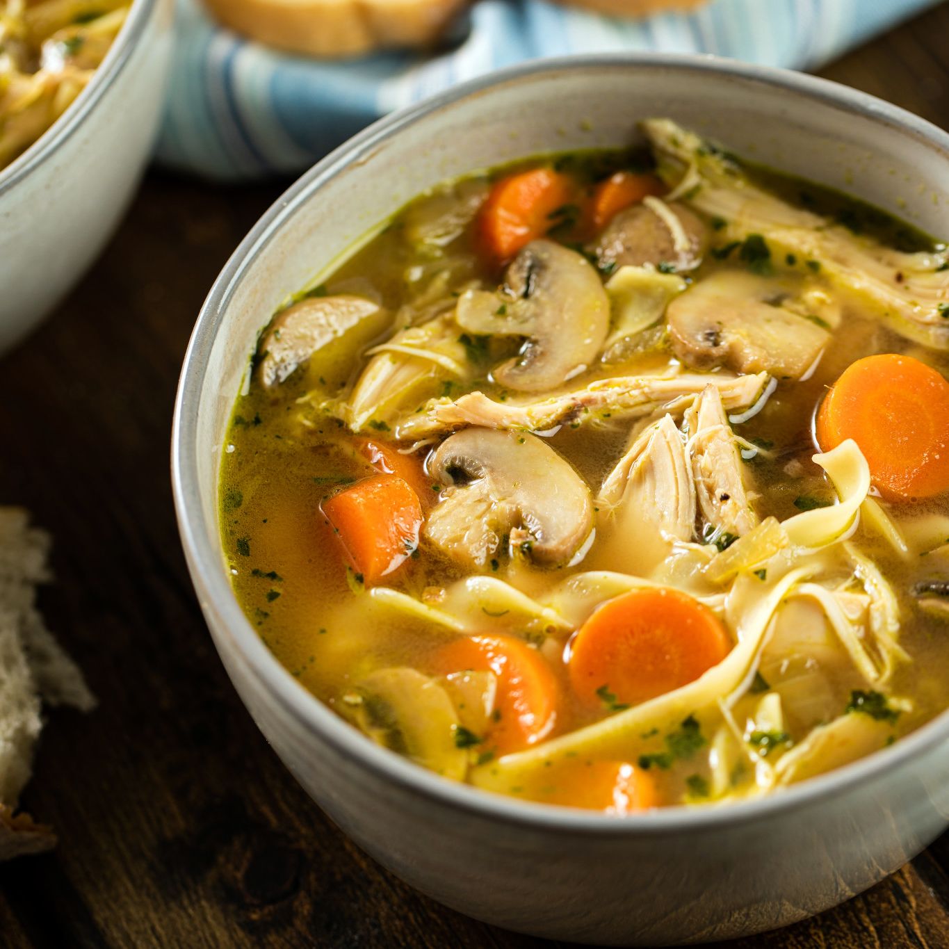 Hearty Chicken Noodle Soup Gourmet Garden