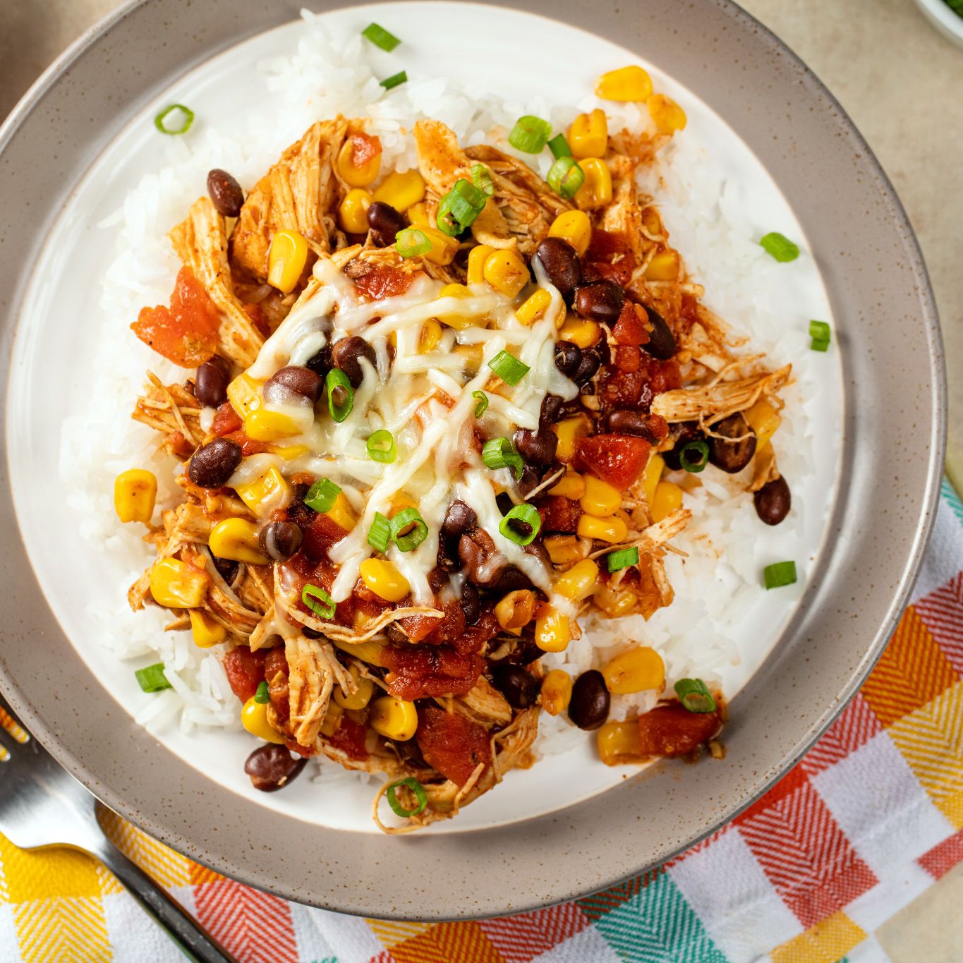 Slow Cookers Fiesta Chicken McCormick