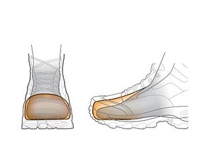 Boote toe area Illustration