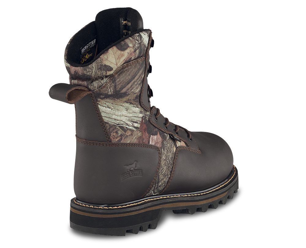 irish setter 2813