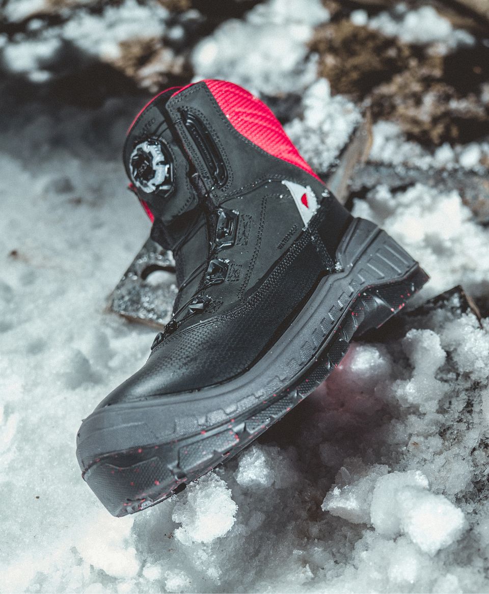 Polar X