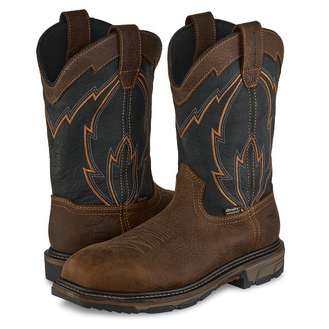 Marshall | Irish Setter