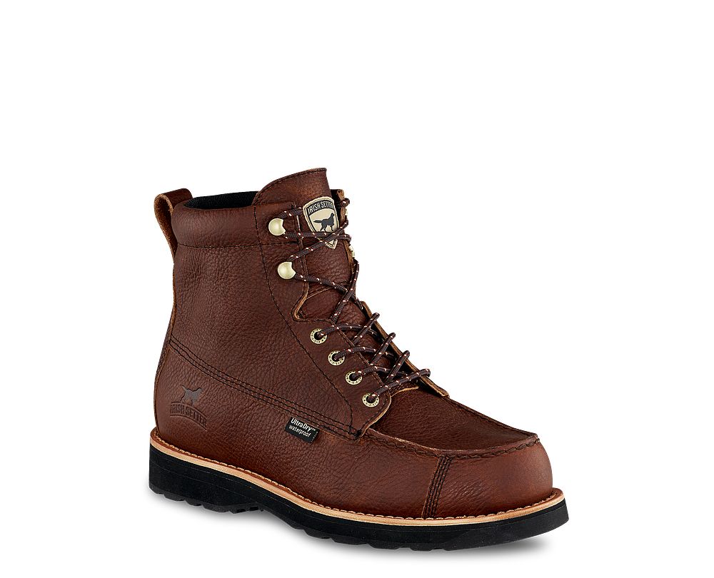 irish setter wingshooter 807