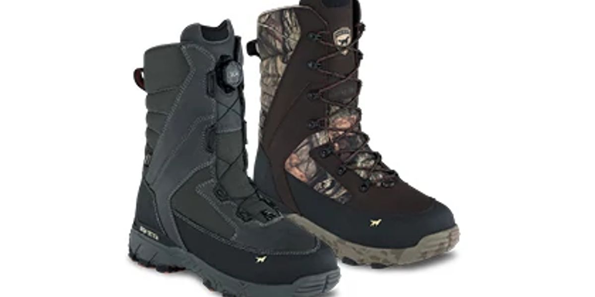 irish setter ice trek