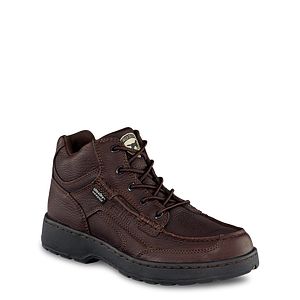 irish setter chukka