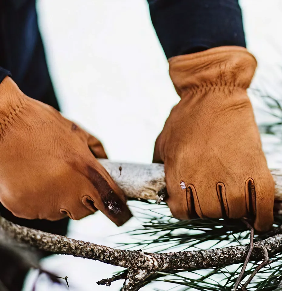 Close up of the hands of a person wearing Red Wing gloves and grabbing a branch