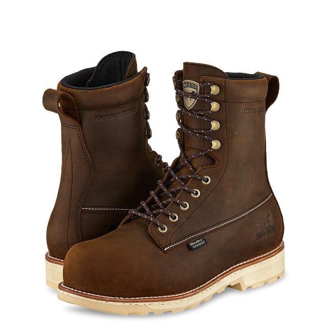Wingshooter ST Irish Setter