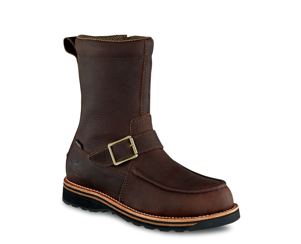 irish setter wingshooter 839
