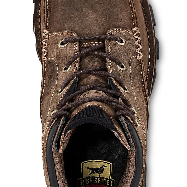 irish setter borderland oxford