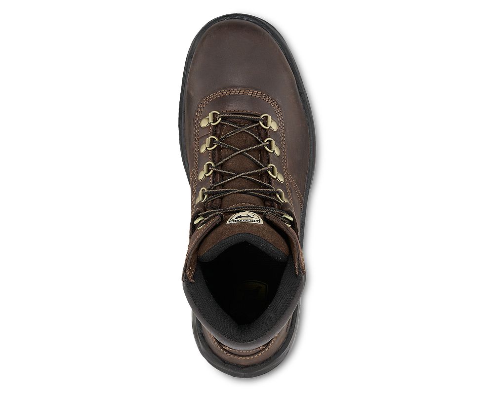 irish setter 83608