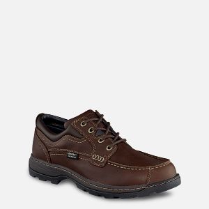 Casual Footwear | Irish Setter Casual Footwear | Irish Setter