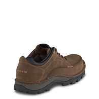 irish setter borderland chukka