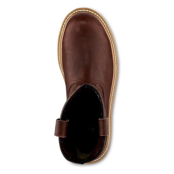 irish setter ashby black