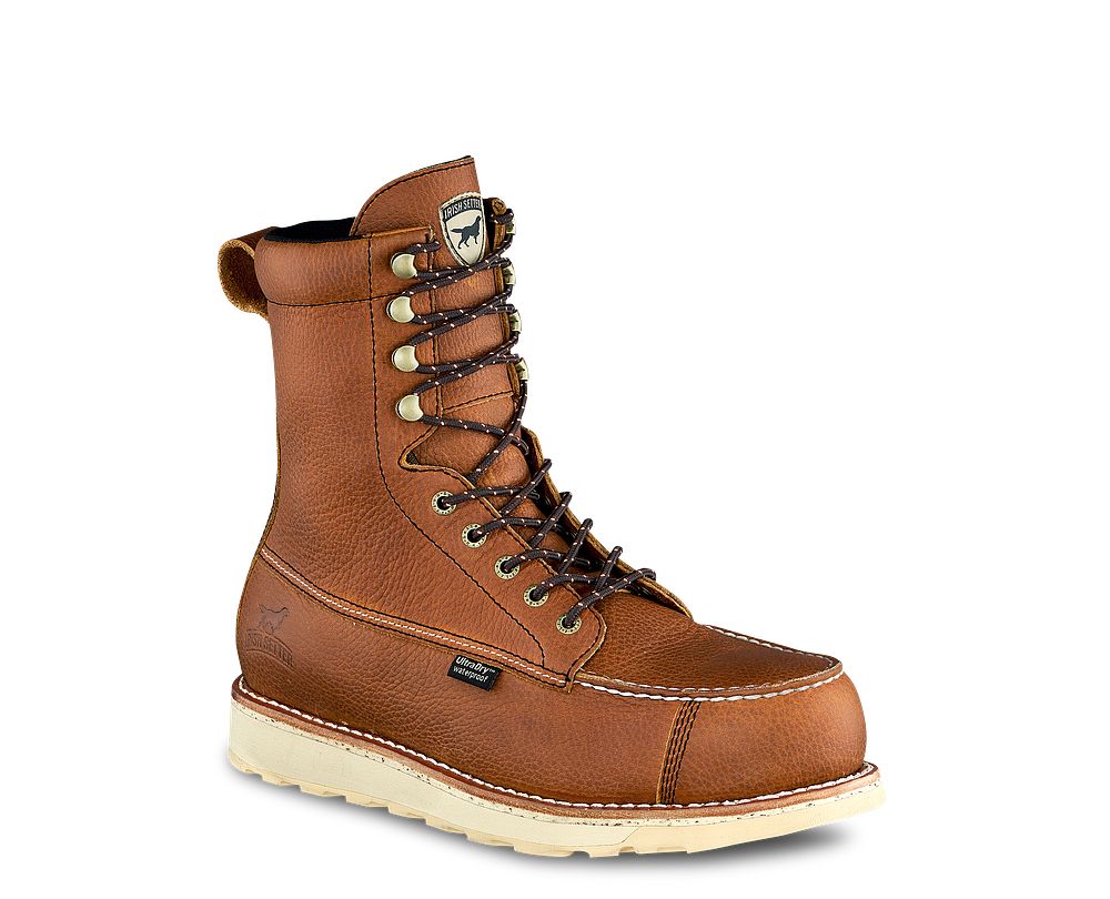 wingshooter st irish setter