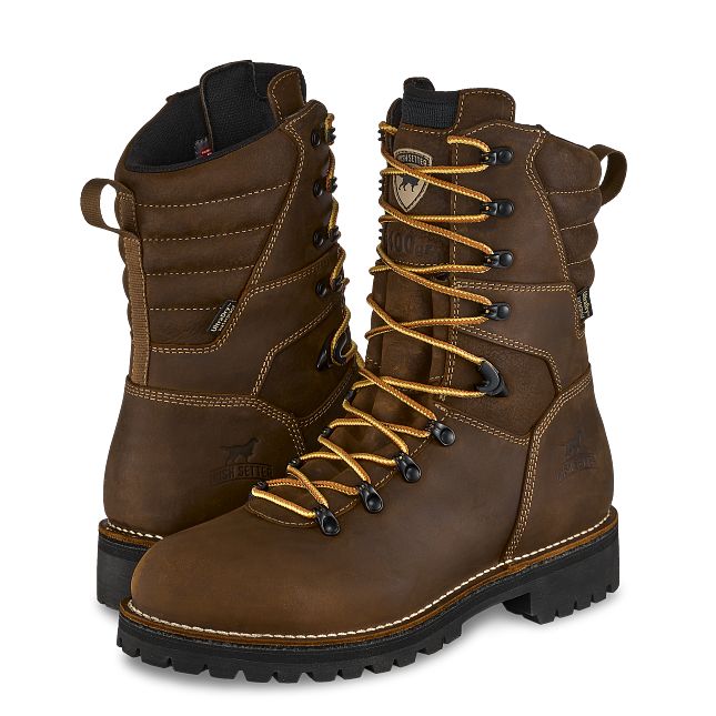 Shorewood | Irish Setter