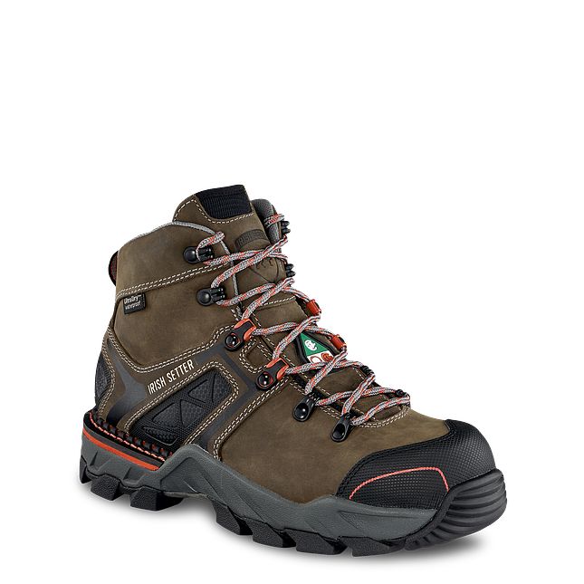 Irish setter safety toe online