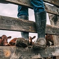 Work_Ashby_MM_195x195