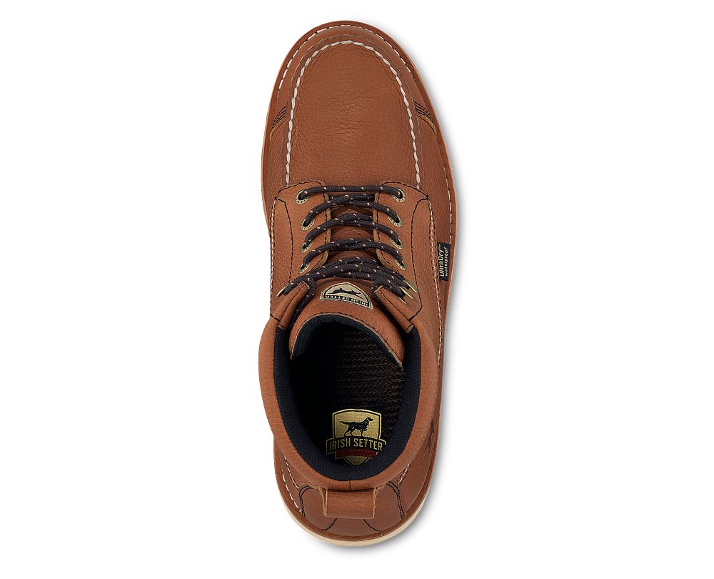 838 irish setter