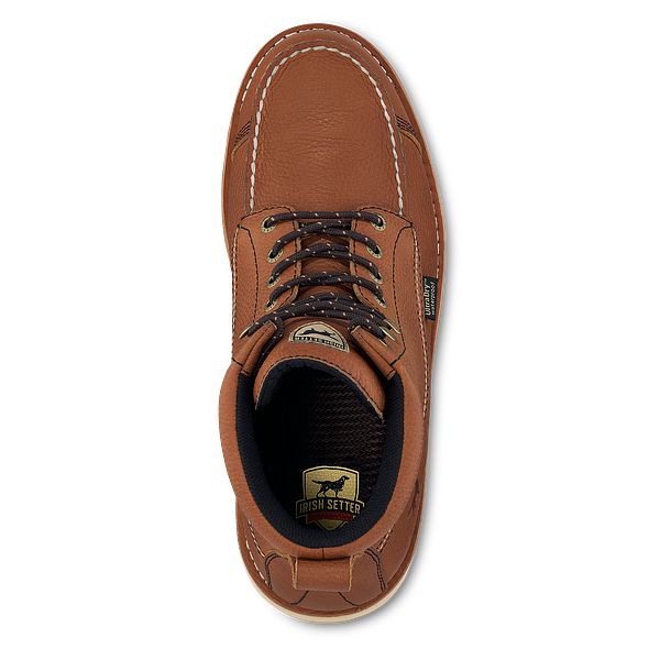 838 irish setter