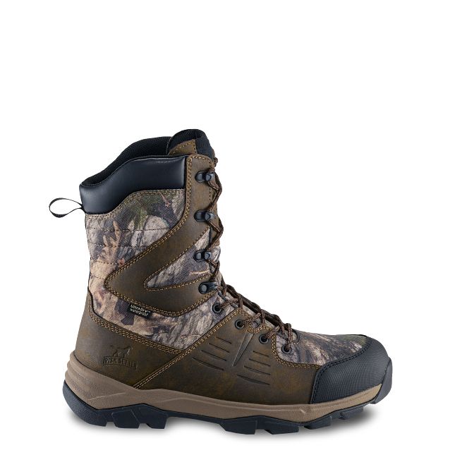 Terrain | Irish Setter