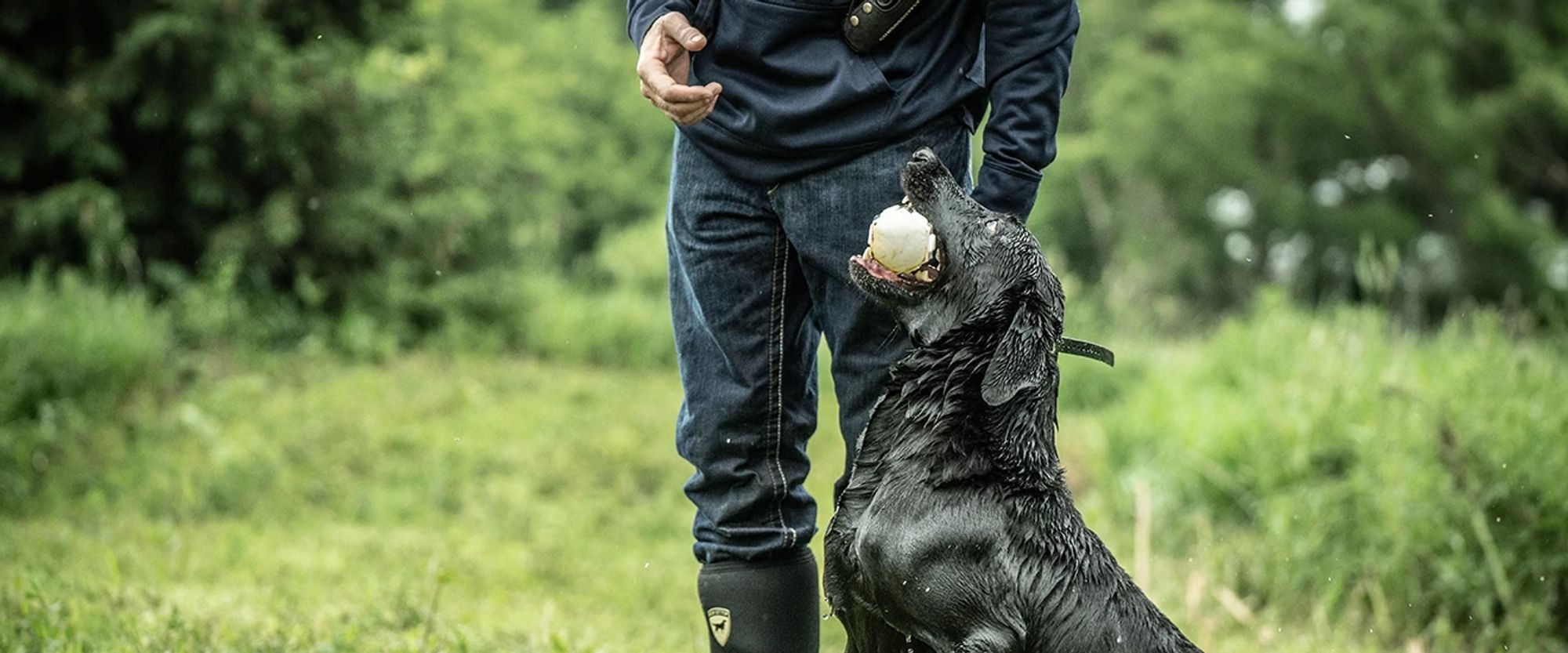 Jeff Fuller training a dog at soggy acres