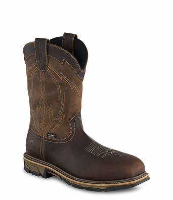 Irish 2025 setter 83607