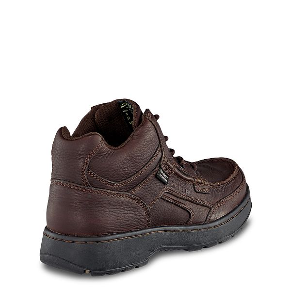 irish setter countrysider 1860