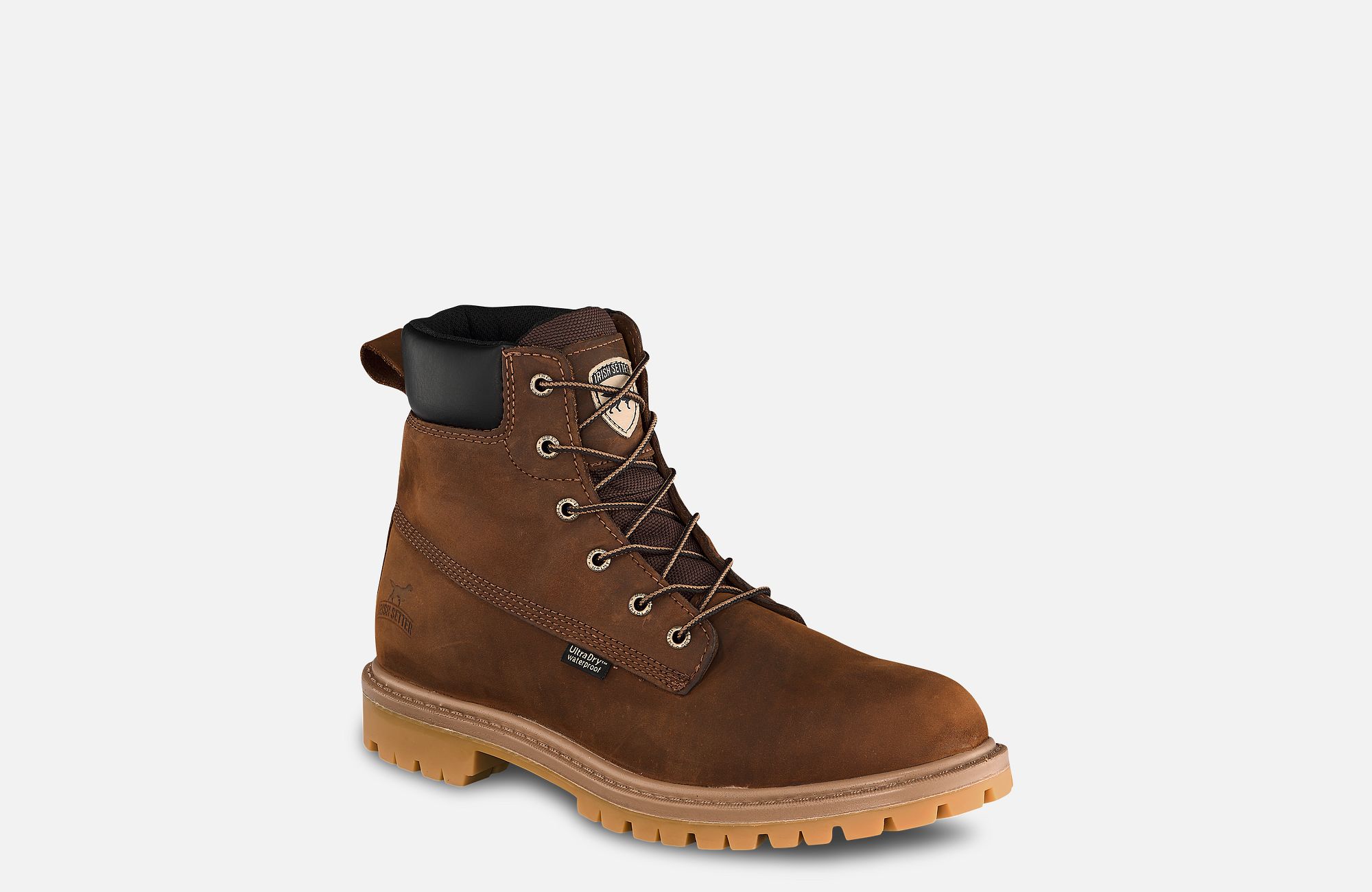 Hopkins | Irish Setter Hopkins | Irish Setter