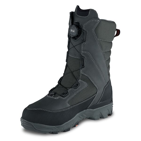 irish setter ice trek
