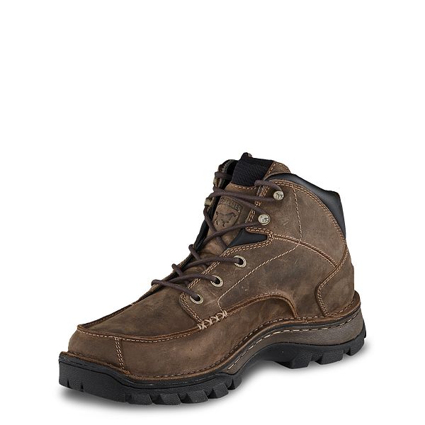 irish setter borderland oxford