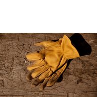 Navigate to Unlined Buckskin Leather Glove product image