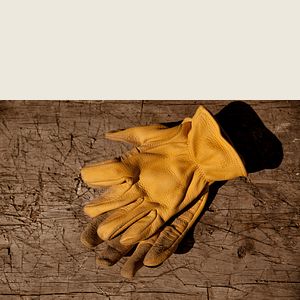 Unlined Buckskin Leather Glove