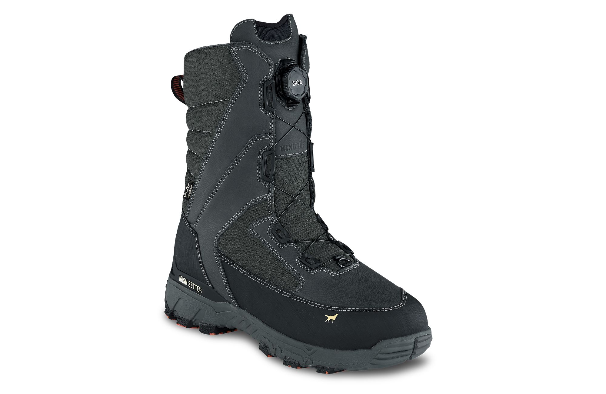 IceTrek Irish Setter