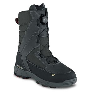 IceTrek  Irish Setter