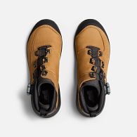 Navigate to Apex product image 2