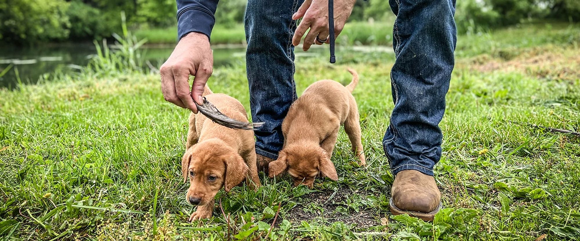 Jeff Fuller and puppies