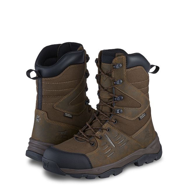 Terrain | Irish Setter