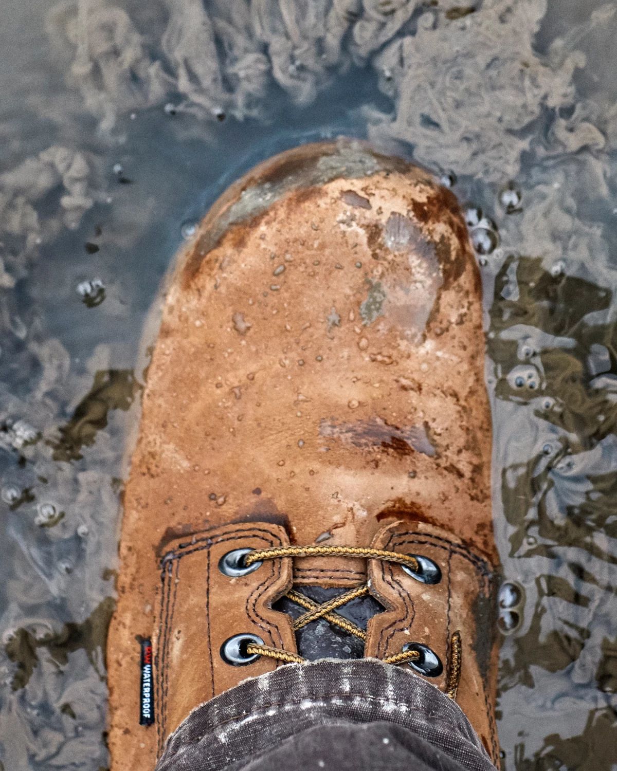 Close up of Red Wing King Toe boot