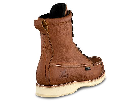 irish setter wingshooter 894