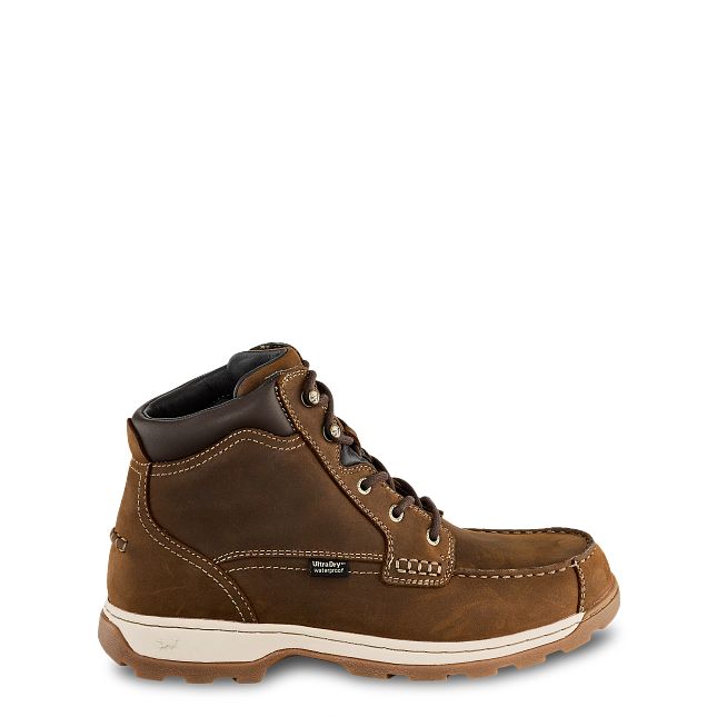 Irish setter borderland on sale oxford