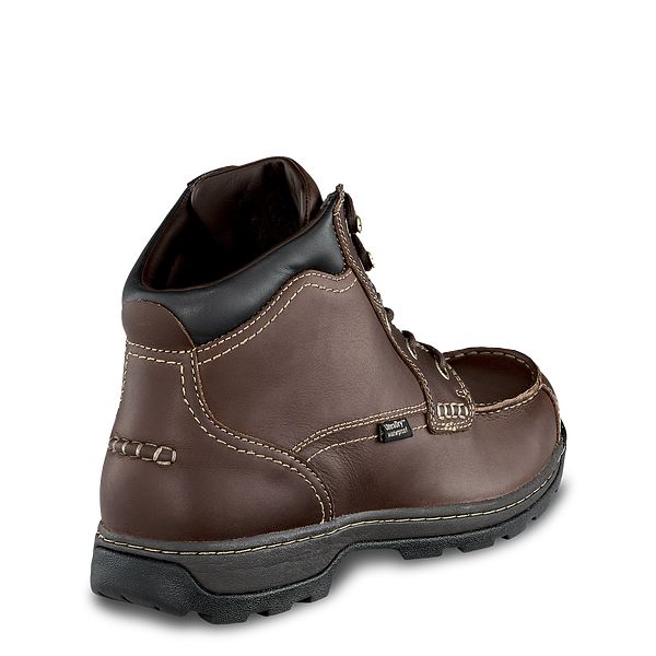 irish setter soft paw chukka