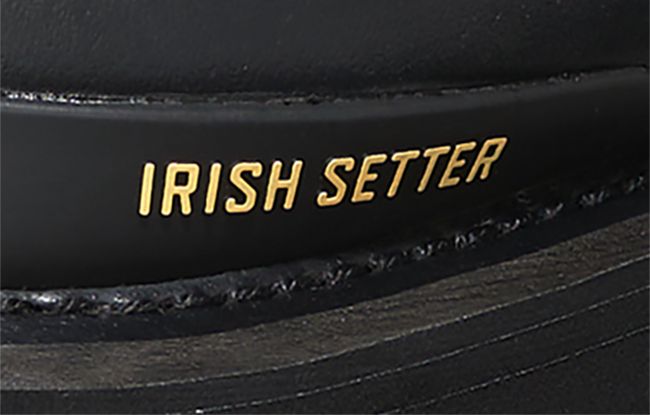 Close up of Irish Setter boot