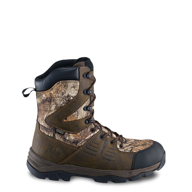 Terrain | Irish Setter display picture 2