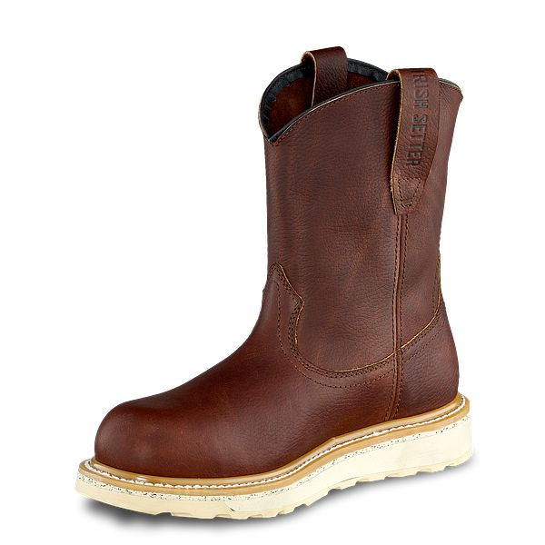 irish setter ashby black