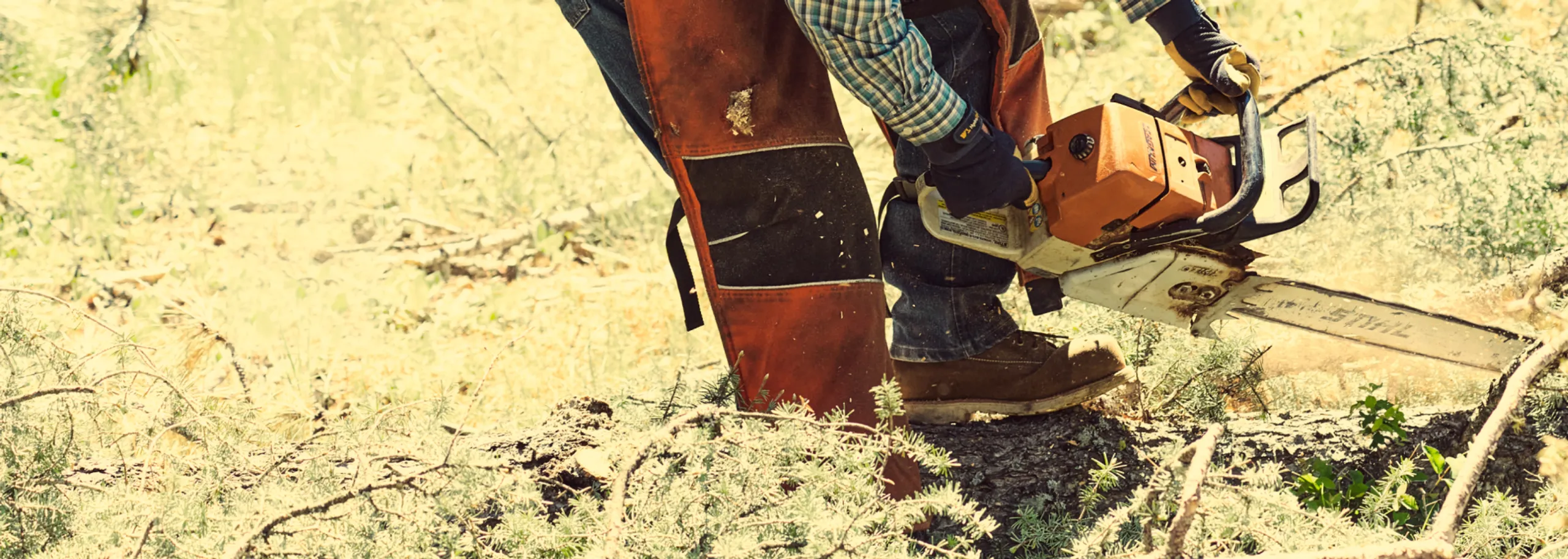 Wingshooter ST Boots