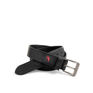 Red Wing Leather Belt