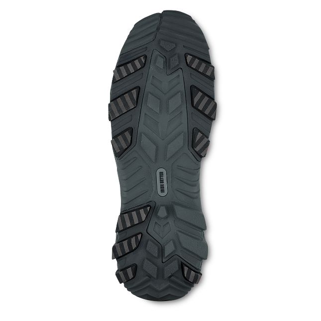 Irish setter ice trek sale